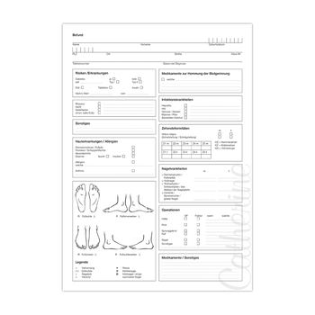 Anamnesebogen Wellvet<br>DIN A4
